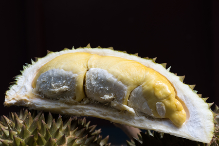 Fresh durian recenlty cut and ready for serving.の写真素材