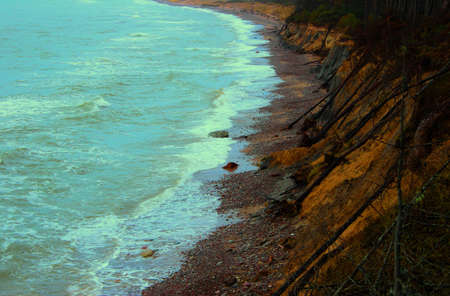 How sea swallows shoreの写真素材