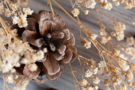 Close-up of a brown pine cone nestled among delicate dried flowers, showcasing rich textures and...