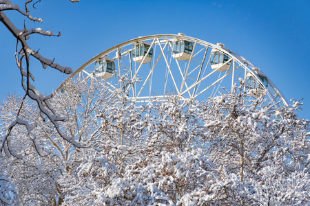 White ferris wheel surrounded by snow-covered trees on a clear winter day. Bright blue sky, seasonal city park, festive atmosphere, travel and leisure conceptの写真素材