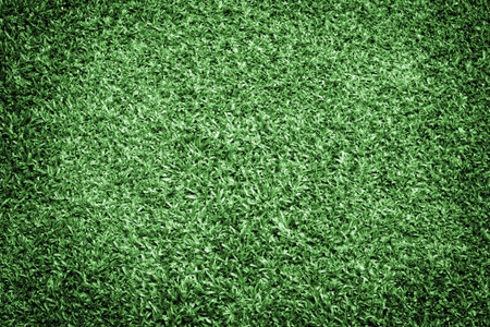 Grass Texture