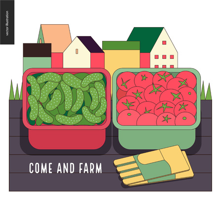 Urban farming, gardening or agriculture, harvest. Two containers filled with cucumbers and tomatos standing on the deck and gauntlets, with town houses on the backgroundのイラスト素材