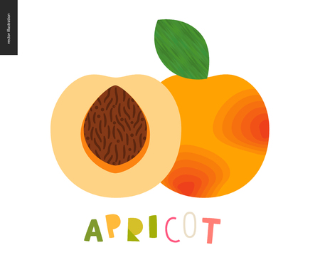 Food patterns - fruit, vector flat illustration of apricot - simple half of an apricot fruit full of firm yellow pulp, orange rind, brown seed, and lettering. Perfect for t-shirt, bag, decorationのイラスト素材