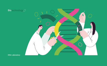 Bio Technology, DNA Laboratory -modern vector concept illustration of scientists dissecting DNA double helix, manipulating and rearranging fragments. Metaphor of advancements in agriculture, medicineのイラスト素材