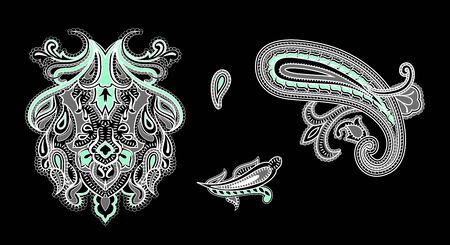 Set paisley pattern. Isolated elements for you design.の写真素材