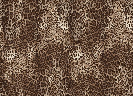 Seamless leopard skin backqround. Brown color pattern.の写真素材