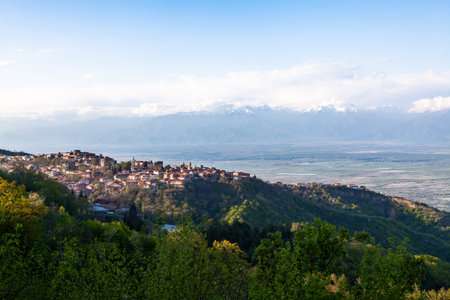 Small town on the background of mountains.