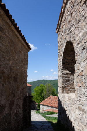 Ancient buildings in Georgia on the background of mountains.