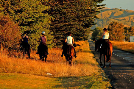 Sauntering home in the evening glowの写真素材