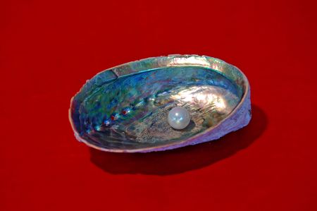 single pearl in abalone shellの写真素材