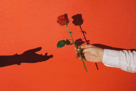 Vintage Valentine scene with male hand holding red rose and woman hand shadow against vibrant red...