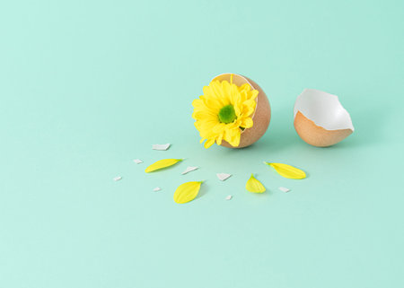 Minimal composition with yellow flower popping out of cracket eggshell on mint green background....
