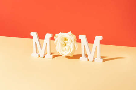 Minimal mom word  made of white letters and soft rose flower on pastel powder background. Trendy mothers day concept.の写真素材