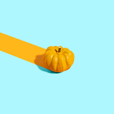 Trendy composition with vibrant orange pumpkin on sunny blue table. Minimal autumn background with copy space.の写真素材