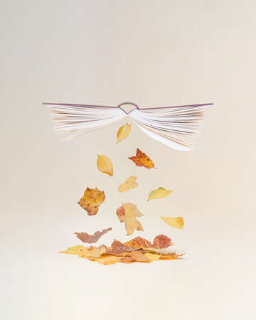 Trendy composition with open book and autumn leaves on serenity cream background. Creative cosy fall concept.の写真素材