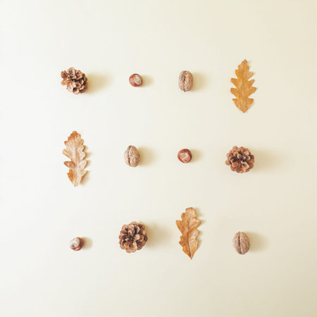 Cosy autumn composition with dry oak leaves, chestnut, pinecones and walnut against pastel cream background. Creative autumn concept.の写真素材