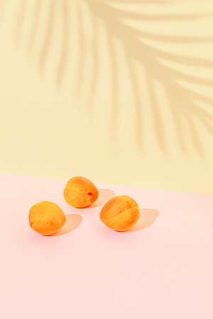 Summer fruit composition with fresh apricots and palm leaf shadow on pastel pink and sandy...