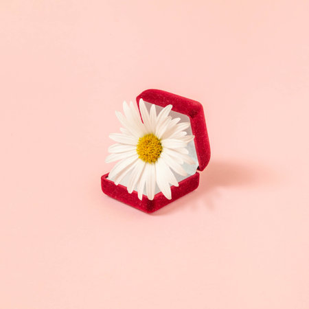 Creative minimal style composition with red engagement ring box and white daisy flower on pastel pink backgroud.の写真素材
