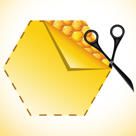 Vector illustration of honey sticker.のイラスト素材