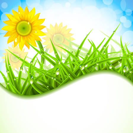 Vector illustration of spring  banner.のイラスト素材