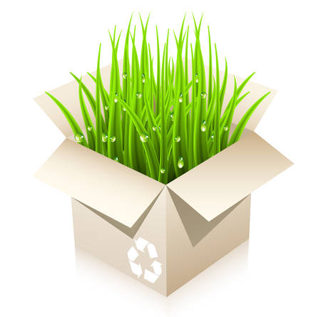 Vector illustration of Eco concept with box and grass.のイラスト素材