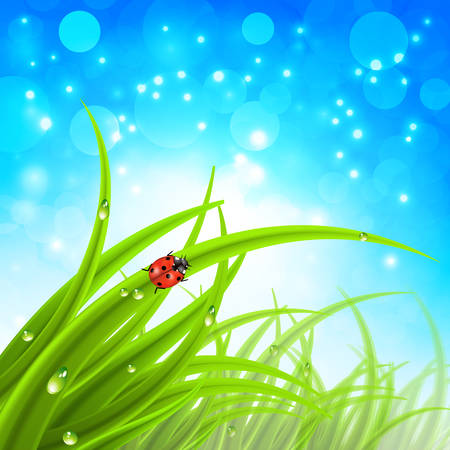 Vector illustration of spring landscape.のイラスト素材