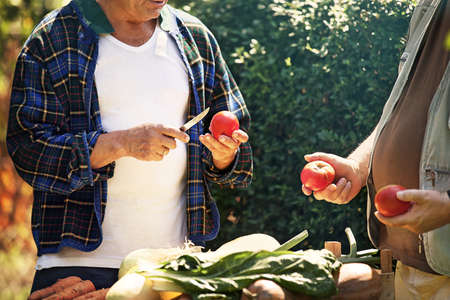 Farmer is showing tomato to his friend.の写真素材