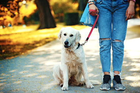 Young blonde woman is relaxing in the park with her retriever.