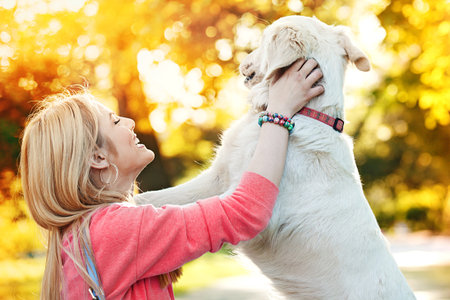 Young blonde woman is relaxing in the park with her retriever.