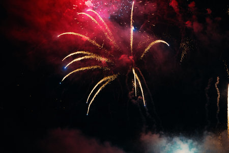 Colorful fireworks of various colors over night sky .