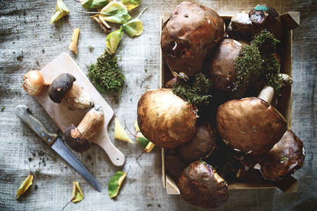 A healthy wild forest mushrooms on the table.の写真素材