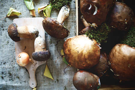 A healthy wild forest mushrooms on the table.の写真素材