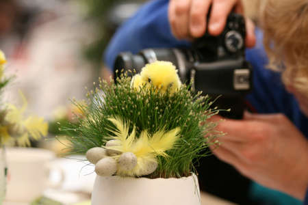 Easter fotographingの写真素材