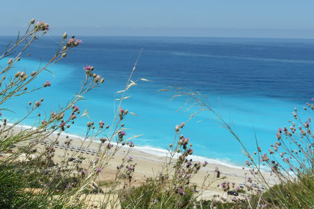 Wild flowers with a perfect view on the ionian sea