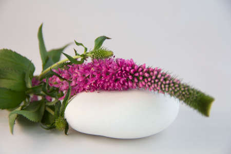 Pink flower on white stoneの写真素材