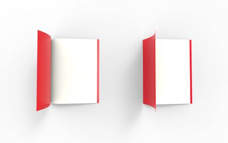 Two professional looking blank business reports. の写真素材