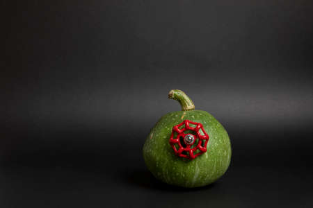 Green pumpkin with valve in it. Halloween decoration. Cool. Original photo. Black background.の写真素材