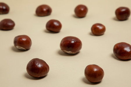 Brown wild chestnut pattern. Light brown bacgkround.