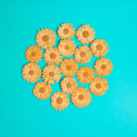 Orange circle made of flowers. Light green background. Cool and trendy photo.の写真素材