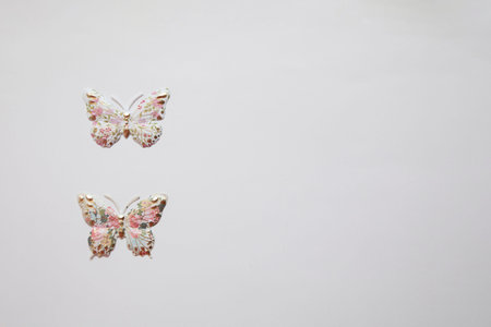 two colorful plastic butterflies on a white background