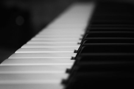 piano races. black and white photography. keyboard. music idea.