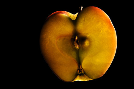 apple slice