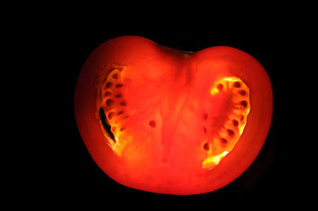 tomato sliceの写真素材