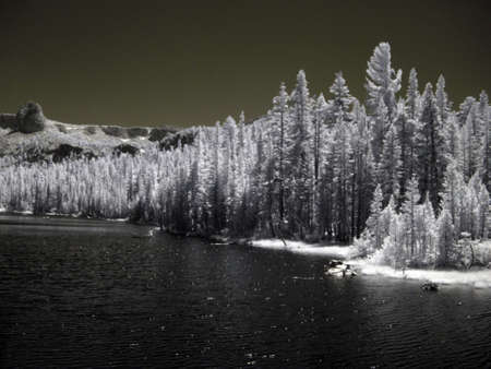  lake in a forest                              の写真素材