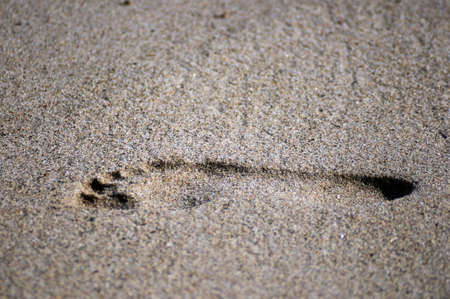 foot printの写真素材