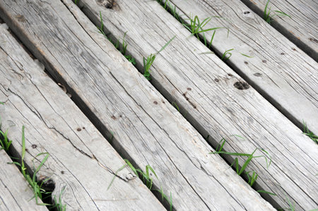 wooden walkwayの写真素材