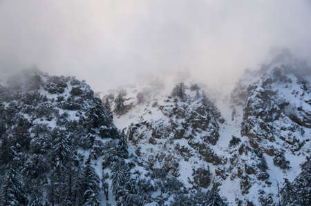 snowy mountainsの写真素材