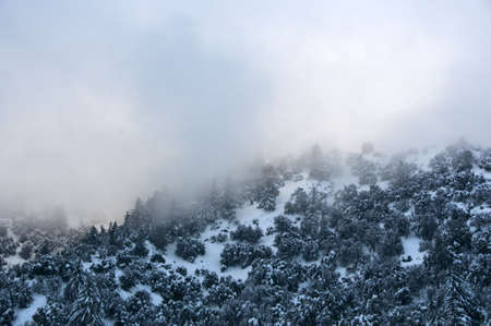 snowy mountainsの写真素材