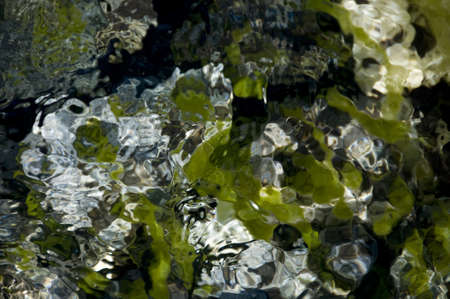 creekbed の写真素材
