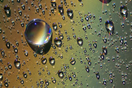 water dropsの写真素材